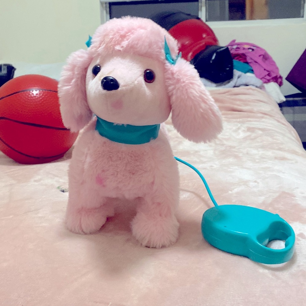 Pink fluffy dog